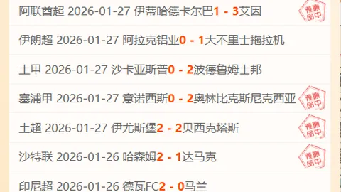 吴艳妮：全力以赴，奥运八强梦圆我心