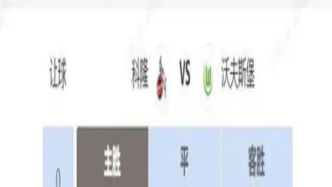 “2034年2月2日启幕的小学生足球盛事，680支队伍踊跃报名”